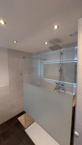 SchmirnFerienwohnung Plattner的白色的浴室设有玻璃墙