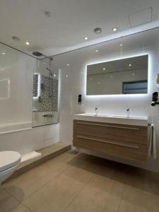 卡尔斯鲁厄Zi Hotel的一间带水槽、卫生间和镜子的浴室