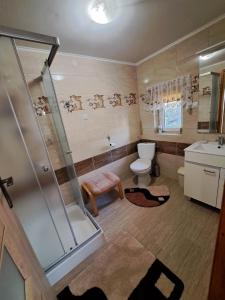 恰尔纳Domek pod Świerkami的带淋浴、卫生间和盥洗盆的浴室