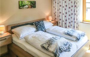 平茨高谷地霍勒尔斯巴赫Stunning Apartment In Mhlbach With Kitchen的卧室内的两张床和枕头
