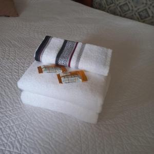 特玛斯德戴曼Hotel Marcos Dayman的床上一双毛巾