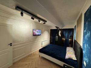 苏恰瓦FancyLux Apartament的一间卧室配有一张床,墙上配有电视