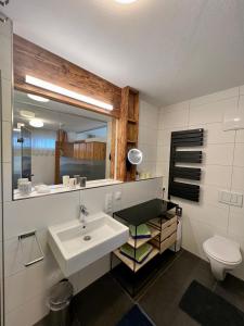 纽科琴格罗斯夫盖尔曼公寓的一间带水槽和卫生间的浴室