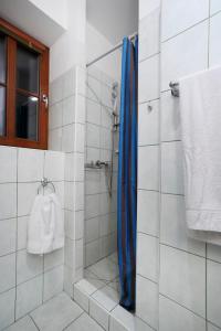 圣科维斯Penzion Skála的浴室内配有蓝色淋浴帘