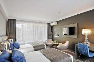 布鲁塞尔阿根达路易丝酒店的一间酒店客房,设有两张床和电视