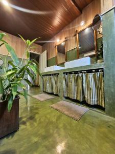 康提伽尔坎达瓦拉瓦酒店的一间厨房,里面装有水槽和植物