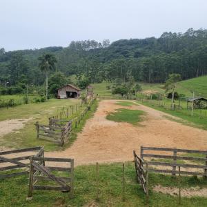 佩尼亚Casa no Sítio的一条土路,在有木栅栏的田野里