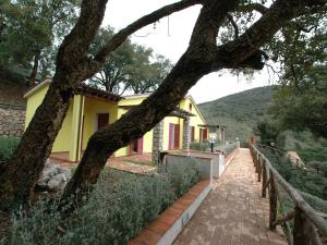 里奥马里纳Villaggio Di Mezzo Ortano的黄色的房子,有树和砖砌的人行道