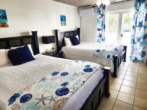 HermitageExuma Palms Resort的一间卧室设有两张床和窗户。