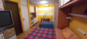 福波洛FOPPOLO apt.C101的小房间设有床铺和电视