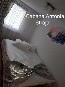 Cabana Antonia平面图