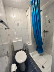 梅尔斯堡Gästehaus AM HAFEN的浴室设有卫生间和带蓝色窗帘的淋浴。