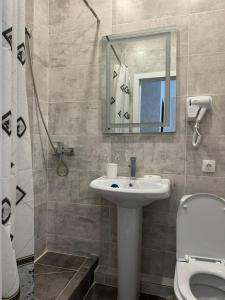 阿斯塔纳Rose Art hotel的一间带水槽、镜子和卫生间的浴室