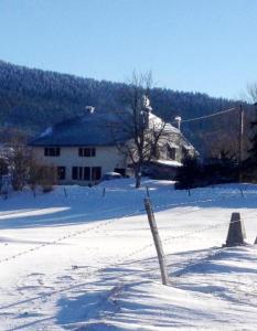 莱鲁斯Gîte du Grand Cher的雪地中带围栏的房子