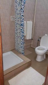 马哈赞加RAOOF HOTEL的一间带卫生间和淋浴的浴室