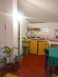 卡纳科纳Anika homes的一间厨房,里面装有黄色橱柜和植物