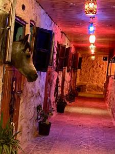 瓦迪穆萨Petra Royal Ranch的挂在建筑物一边的马头