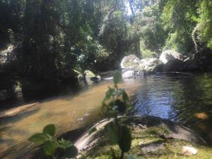伊塔蒙蒂Chácara Engenho的森林中岩石流水