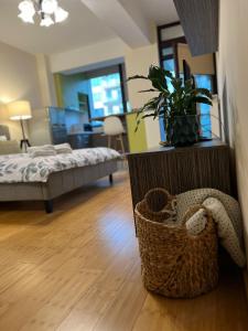 雅西Studios Copou IRO Parhon的一间卧室,配有床和篮子中的植物
