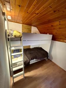 采尔克诺Apartma Bine的客房设有两张双层床和梯子