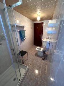 采尔克诺Apartma Bine的带淋浴、卫生间和盥洗盆的浴室
