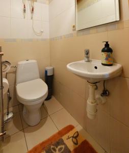 特拉凯蜂蜜浴度假屋的一间带卫生间和水槽的浴室