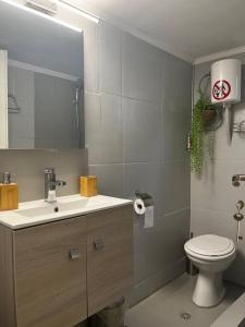 雅典D & A house 150m from Chalandri metro station的一间带卫生间、水槽和镜子的浴室