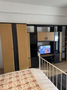 布加勒斯特Downtown Studio Calea Victoriei的一间卧室配有一张床和一台平面电视