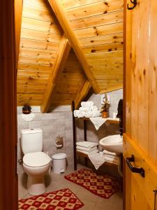 吉诺卡斯特Kore Guest House的一间带卫生间和水槽的浴室