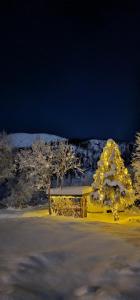 GibostadElvestua的雪中带圣诞灯的建筑