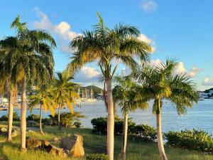 菲利普斯堡Port de Plaisance Resort, Trademark Collection by Wyndham的水边的一组棕榈树