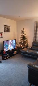 阿维莫尔The Shelter Stone Cottage的客厅配有圣诞树和电视
