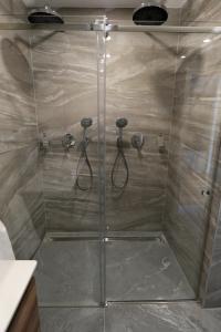 维也纳Vienna Lotus Apartments的浴室设有玻璃门淋浴