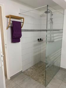 卡佩斯特雷贝勒奥L Oasis des kassaveries的浴室内玻璃淋浴间,配有紫色毛巾