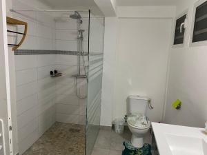 卡佩斯特雷贝勒奥L Oasis des kassaveries的一间带卫生间和玻璃淋浴间的浴室