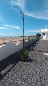 San CarlosHotel Vista Mag-Bay的白色墙壁旁边的海滩上的植物