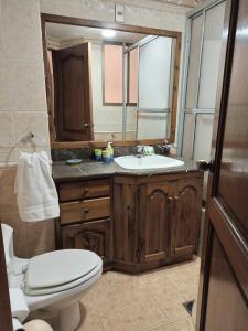 科恰班巴Apartamento, cómodo, en el corazón de Cochabamba的一间带水槽、卫生间和镜子的浴室