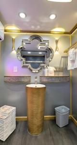 塞奎姆Olympic Railway Inn的一间带水槽和镜子的浴室