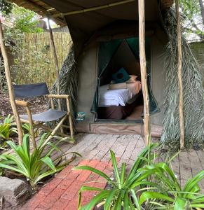 约翰内斯堡Sandton Safari Camp的帐篷内的一张床和一把椅子