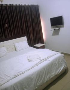 阿奴古Dovan Lodge Enugu的卧室配有一张大白色床和平面电视