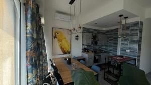 托瓦尼亚Koru House Torvaianica的厨房配有餐桌,墙上有鹦鹉