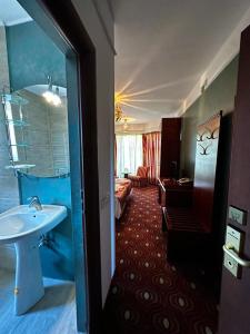 斯勒尼克拜亚罗茜度假酒店的酒店客房设有水槽和一间卧室