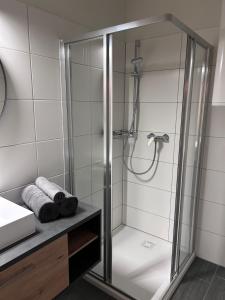 索内纳尔佩·纳斯费尔德Almappartement Nassfeld- Sonnenalpe的浴室里设有玻璃门淋浴