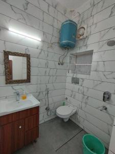 新德里A Sleepy Fox Hostel的一间带卫生间、水槽和镜子的浴室