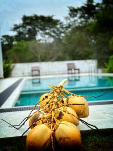坦加拉Finch Tangalle的游泳池旁桌子上的一束香蕉