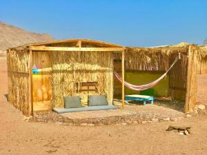 努韦巴Peace land camp的沙漠中带吊床的小屋