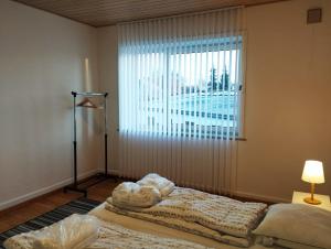 埃斯比约(Id022) Strandby Kirkevej 270 1 th的一间卧室设有一张床和一个大窗户