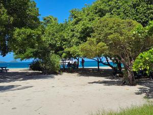 Mayreau IslandWild Lotus Glamping - Mayreau, Tobago Cays的海滩上的一群树木