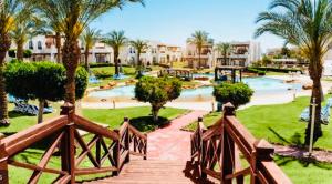 沙姆沙伊赫Private Luxury Villas at Sharm Dreams Resort的一个带游泳池和棕榈树的度假村