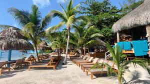 French HarborCoral Views Resort - Villa uMaMi的海滩上设有躺椅和棕榈树